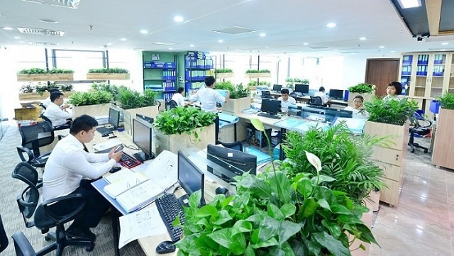 Thiết kế văn phòng xanh với không gian mở trở thành xu hướng thịnh hành năm 2022.